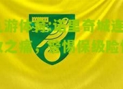 九游体育:诺里奇城连败之痛，警惕保级险情