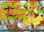 九游体育:乌克兰赏心悦目，基辅红狂人横扫对手锋芒毕露