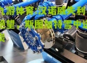 九游体育:汉诺威失利绝望，斯图加特雪中送炭