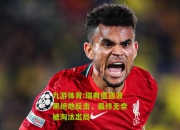 九游体育:瑞典遭遇波黑绝地反击，最终无奈被淘汰出局