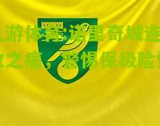 诺里奇城连败之痛，警惕保级险情