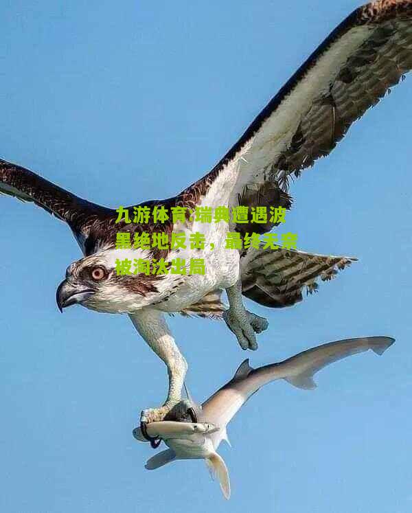 瑞典遭遇波黑绝地反击，最终无奈被淘汰出局