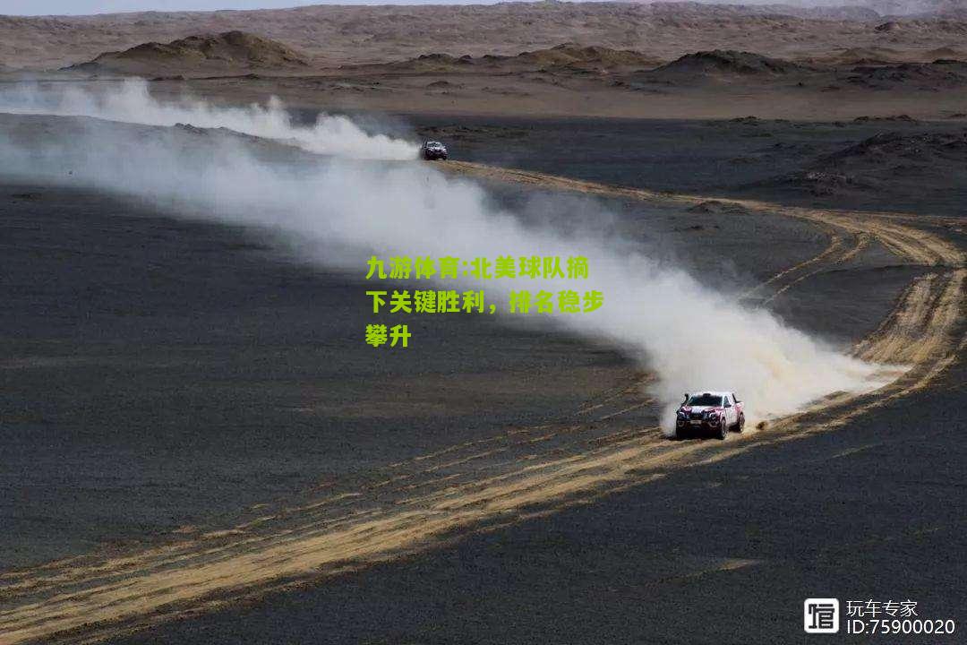 北美球队摘下关键胜利，排名稳步攀升